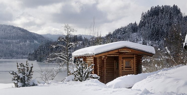 Finnische Außensaunen im Schwarzwald