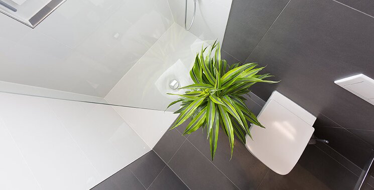 moderne begehbare Dusche in betonoptik