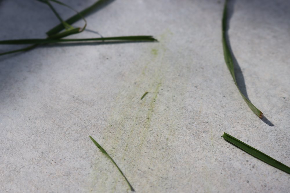 Grasflecken auf Fliesen entfernen