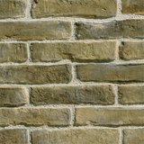 Anterivo gelb 6x 25 cm