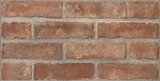 Brienza cotto 31 x 62 cm