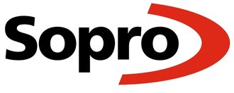 SOPRO RissHarz RH646, 508 g/Dose